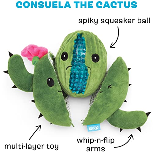 BarkBox 2-in-1 Interactive Plush Puzzle Dog Toys - Squeaky Pet and Puppy Enrichment Toys for Small, Medium, and Large Dogs | Consuela The Cactus