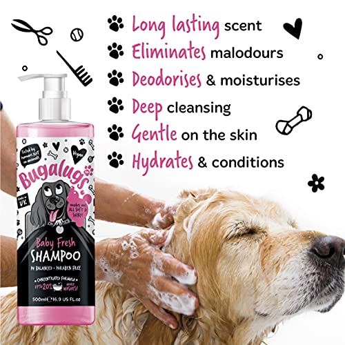 BUGALUGS Baby Fresh Dog Shampoo Dog Grooming Shampoo for Smelly Dogs with Baby Powder Scent (16.9 FL Oz, 6 Pack)