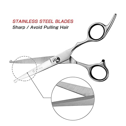 Professional Stainless Steel Pet Grooming Scissors Set with Safety Round Tip Dog Eye Cutter Kit Blunt Tip Grooming Tools for Cats and Dogs Grooming Straight Shears, Thinning Shear, Comb