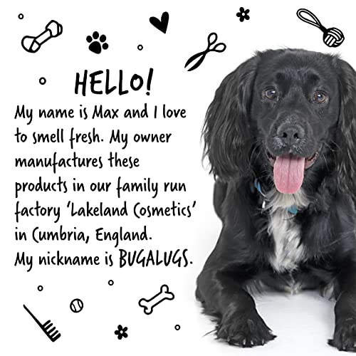 BUGALUGS Baby Fresh Dog Shampoo Dog Grooming Shampoo for Smelly Dogs with Baby Powder Scent (16.9 FL Oz, 6 Pack)