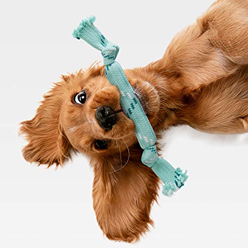 rocket & rex Dog Toy Pack and Dog Rope Toys - Includes a Stretchy Dog Toy Tug Rope with Ball for Tug of War, Rope Toys with Rubber and Crackle for Extra Chewing Fun, for Small to Medium Breeds