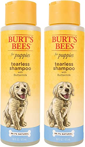 Burt's Bees for Puppies Natural & Gentle Tearless Shampoo | Made with Buttermilk & Honey | Best Tearless Puppy Shampoo for Gentle Skin and Coat | pH Balanced for Dogs - Made in USA, 16 Oz, Pack of 2