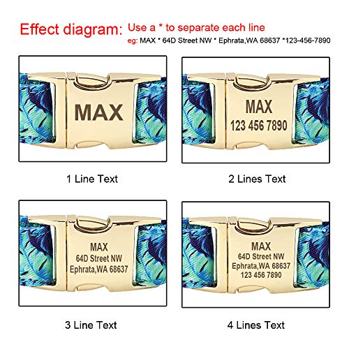 Beirui Soft Floral ID Dog Collars with Name Plate,Beautiful Flower Print Personalized Puppy Dog Collar and 5FT Leash Set for Small Medium Large Dogs, S(5/8" Wide,Neck fit 10-15.5")