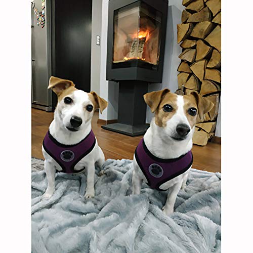 WONDERPUP Soft Mesh Dog Harness No Pull Walking Comfort Padded Vest Harnesses Adjustable Purple L