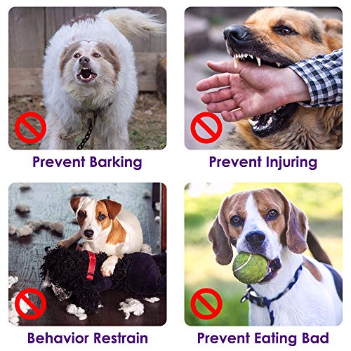 SlowTon Soft Dog Muzzle, Adjustable Padded Nylon Muzzle for Large Medium Dogs Anti Chewing Barking Biting, Allow Dog Pant & Drink (Purple, L)