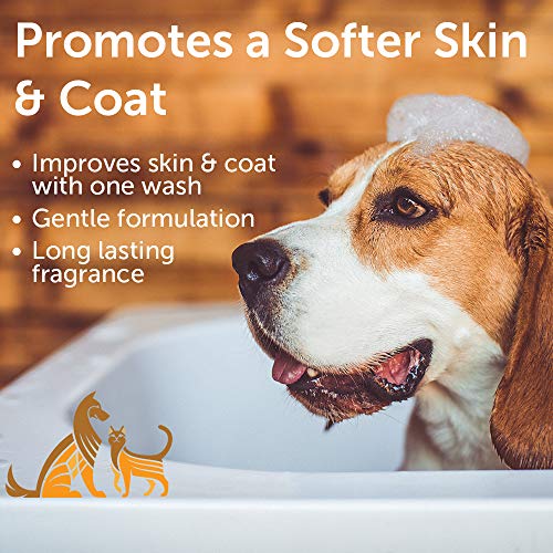 Nootie - Pet Shampoo for Sensitive Skin -Â Revitalizes Dry Skin & Coat - Natural Ingredients - Soap, Paraben & Sulfate Free - Cleans & Conditions