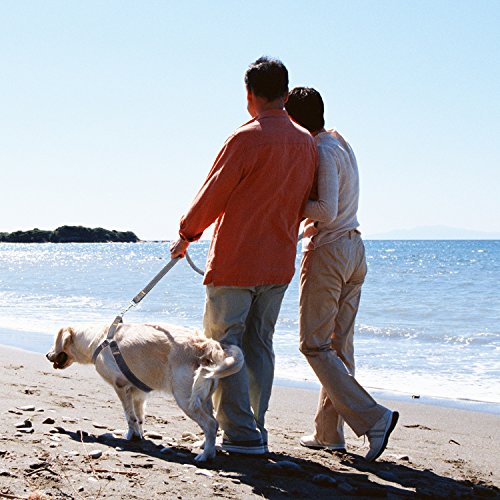 Bark Lover Dog Harness Leash and Collar Matching Sets for Small Puppy Medium Large Dogs Pets, Heavy Duty Nylon with Denim Design, Perfect Accessories for Walking Training Your Dog(M,Black)