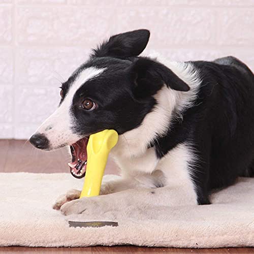 EETOYS Dog Toy for Aggressive Chewers and Teething Puppy Durable Dog Chew Toy Made with Hard Nylon Heavy Duty Tough Dog Toy for Small Medium Large Dogs (Dogs up to 88 lbs, Yellow)