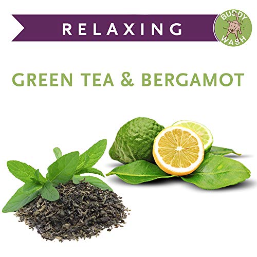 Buddy Biscuits Buddy Wash Dog Shampoo & Conditioner for Dogs with Botanical Extracts and Aloe Vera, Green Tea & Bergamot - 16 fl. oz., Model:CS15232