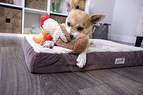 goDog Checkers Skinny Rooster Squeaky Plush Dog Toy, Chew Guard Technology - Brown, Small