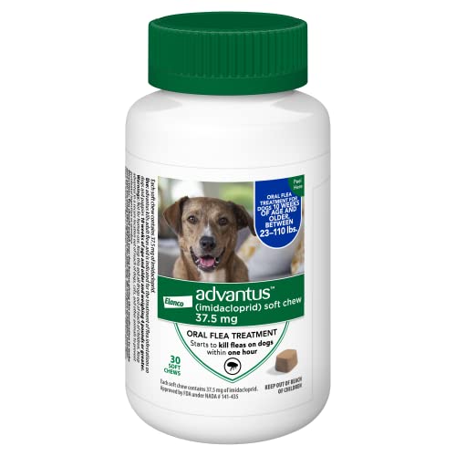 Advantus (Imidacloprid) 30-Count Chewable Flea Treatment for Large Dogs, 23-110 Pounds