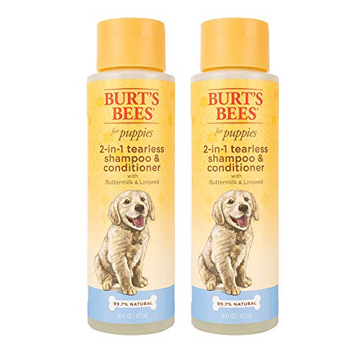 Burt's Bees for Dogs Natural Tearless 2 in 1 Dog Shampoo & Conditioner with Buttermilk and Linseed Oil | Gentle & Safe for Puppies | pH Balanced for Puppies - Made in USA, 16 Oz - 2 Pack