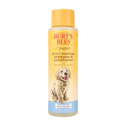 Burt's Bees for Dogs Natural Tearless 2 in 1 Dog Shampoo & Conditioner with Buttermilk and Linseed Oil | Gentle & Safe for Puppies | pH Balanced for Puppies - Made in USA, 16 Oz - 2 Pack
