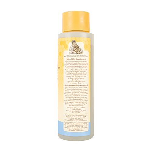 Burt's Bees for Dogs Natural Tearless 2 in 1 Dog Shampoo & Conditioner with Buttermilk and Linseed Oil | Gentle & Safe for Puppies | pH Balanced for Puppies - Made in USA, 16 Oz - 2 Pack
