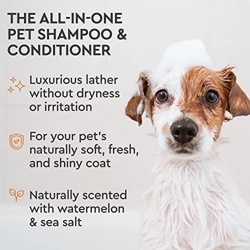 Puracy Pet Shampoo, Watermelon & Sea Salt 2-in-1 Hypoallergenic Dog Shampoo and Conditioner for Healthier Coats, Biotin for Anti-Itch, Human-Grade Canine Shampoo for Shiny Fur and Zero Odors, 12 Oz