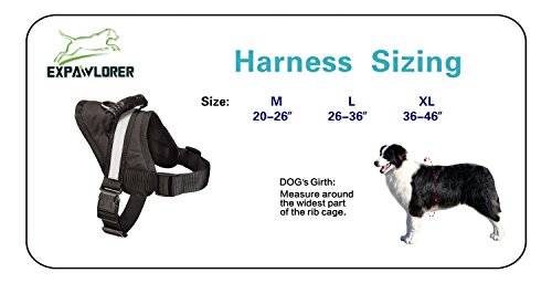 Big Dog Soft Reflective No Pull Black Harness size XL 36-46inch