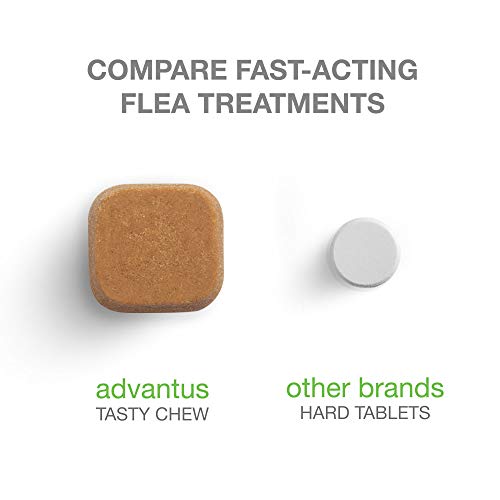 Advantus (Imidacloprid) 30-Count Chewable Flea Treatment for Large Dogs, 23-110 Pounds