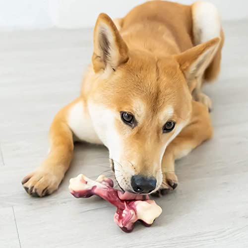 EETOYS Dog Toys for Aggressive Chewers Nearly Indestructible Dog Chew Toys for Large Medium Small Dogs Teething Puppies Durable Tough Dog Toys Puppy Chew Toys Made with Hard Nylon Dogs up to 8lb