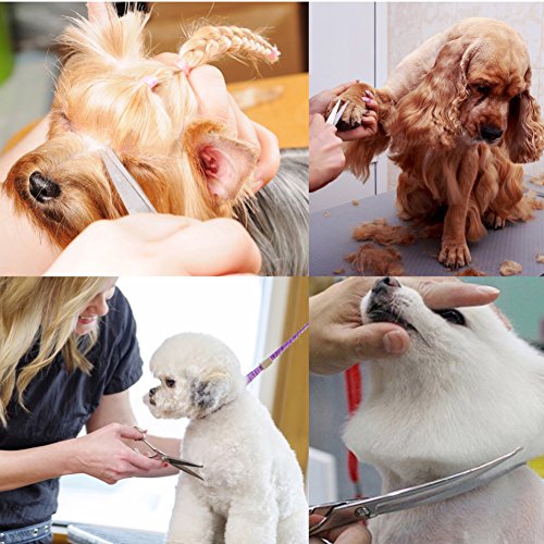 Dog Scissors with Round Tip, Set of 5 Dog Grooming Kit, Stainless Steel Pet Grooming Scissors for Full Body, Face, Nose, Ear and Paw (blue)