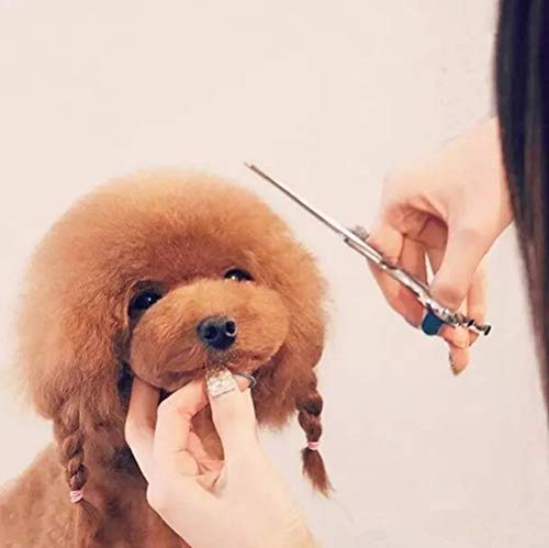 7 inch Dog Grooming Kit Pet Cat Grooming Scissors Tool Round Tips Professional Stainless Steel Curved Straight Thinning Shears Clippers