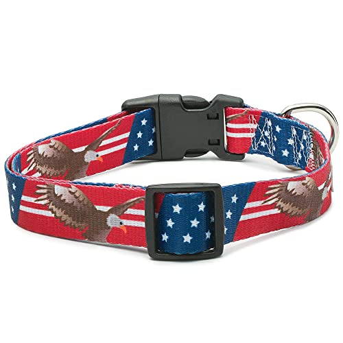 American Flag Dog Collar in 5 Different Sizes (Bald Eagle, Medium)