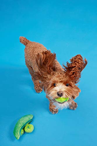 BarkBox Dog Squeak Toys | 2-in-1 Interactive Toys for Chewers | Durable Tug and Fetch Toys | Stuffed Plush Toys and Balls for Small/Medium/Large Dogs | Peas in The Pod (Medium/Large)
