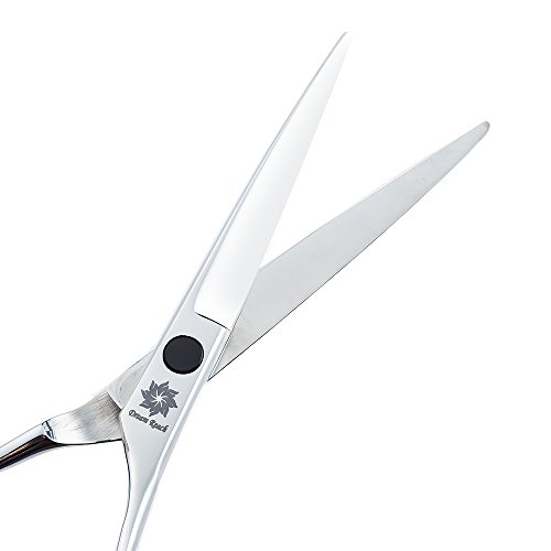 Dream Reach 6 inch 5pcs/Set Pet Scissors Dog Grooming Shears Set Straight/Curved/Thinning/Chunker Shears Grooming Comb-Twin Tail Animals Hair Cutting Tools Kit