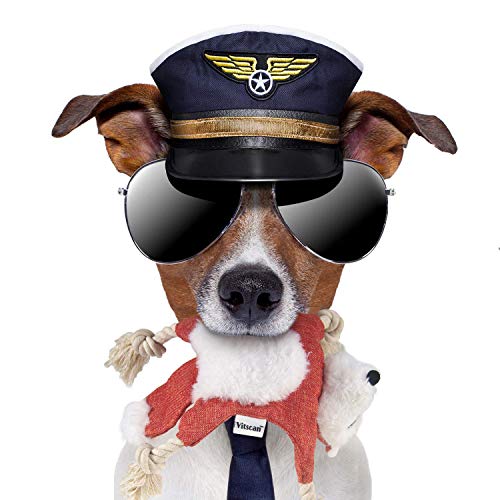 Fox Dog Toy with Squeaker, Stuffless Dog Toy Crinkle Hunting Dog Toy Plush Durable Dog Squeaky Toys Cotton Rope Dog Toy Throughout the Body Cute Dog Chew Toys for Puppies with Eyes Embroidery Design