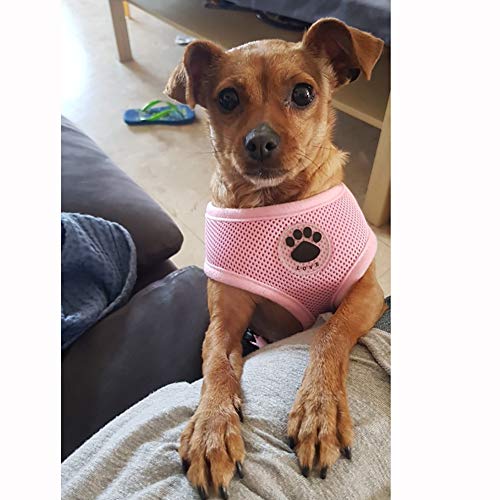 WONDERPUP Soft Mesh Dog Harness No Pull Walking Comfort Padded Vest Harnesses Adjustable Pink XS