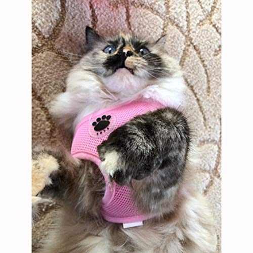 WONDERPUP Soft Mesh Dog Harness No Pull Walking Comfort Padded Vest Harnesses Adjustable Pink XS