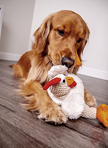 goDog Checkers Fat Rooster with Chew Guard Technology Tough Plush Dog Toy, White, Large (770882)