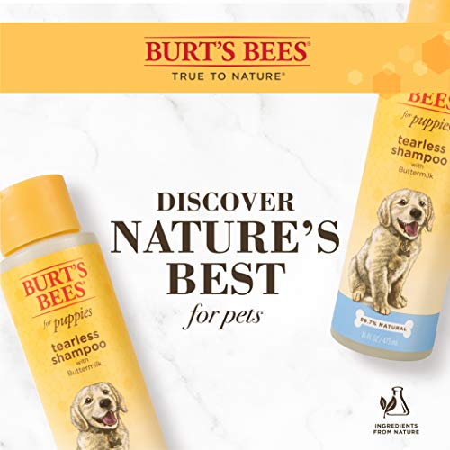 Burt's Bees for Dogs Natural Tearless Puppy Shampoo with Buttermilk | Shampoo for Dogs and Puppies | Puppy Shampoo Gentle on Skin and Fur | Cruelty, Sulfate & Paraben Free - Made in USA, 16 Ounces