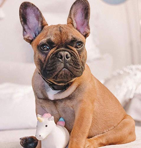 rocket & rex No Stuffing Dog Toy | Unstuffed Dog Toys Bundle with Squeakers | Set Includes a Stuffing Free Rope Toy, Rubber Squeaker Toy and Plush Toy | for Small to Medium Breeds