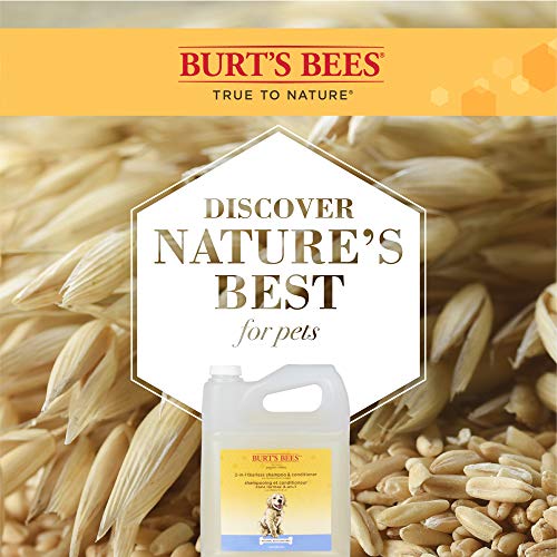 Burt's Bees for Puppies Tearless 2-in-1 Dog Shampoo | Dog Shampoo for Puppies Soothes and Softens Dog Fur | Natural Dog Shampoo for All Dogs Puppy Shampoo Gallon Shampoo