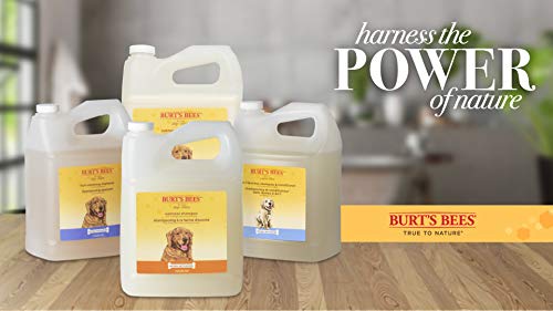 Burt's Bees for Puppies Tearless 2-in-1 Dog Shampoo | Dog Shampoo for Puppies Soothes and Softens Dog Fur | Natural Dog Shampoo for All Dogs Puppy Shampoo Gallon Shampoo