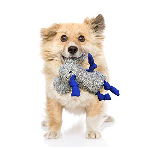 rocket & rex No Stuffing Dog Toy | Unstuffed Dog Toys Bundle with Squeakers | Set Includes a Stuffing Free Rope Toy, Rubber Squeaker Toy and Plush Toy | for Small to Medium Breeds
