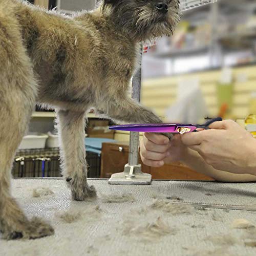 PURPLEBIRD 8 Inch Straight Dog Grooming Scissors Professional Pet Cutting Shears Safety Noiseless Blunt Tip Trimming Shearing for Dogs Cats Japanese Stainless Steel Purple
