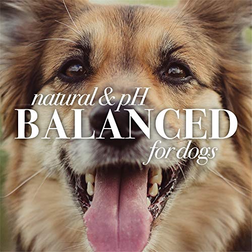 Burt's Bees for Puppies Tearless 2-in-1 Dog Shampoo | Dog Shampoo for Puppies Soothes and Softens Dog Fur | Natural Dog Shampoo for All Dogs Puppy Shampoo Gallon Shampoo