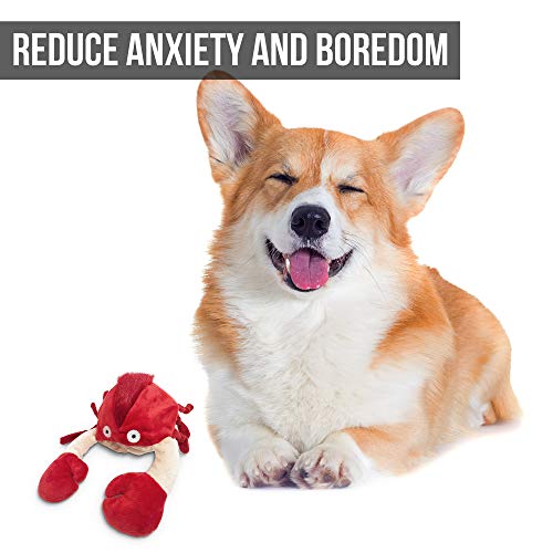 Hyper Pet Doggie Pal Crab Interactive Dog Toys (Unique Dog Toy that Wiggles, Vibrates and BarksâPlush Dog Toys for Boredom and Stimulating Play)