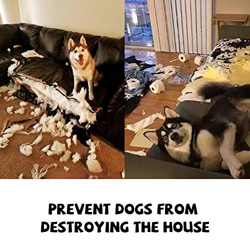 AWOOF No Stuffing Dog Toys, 5 Pack Dog Squeaky Toys Durable Dog Chew Toy Set for Puppy Small Medium Large Dog