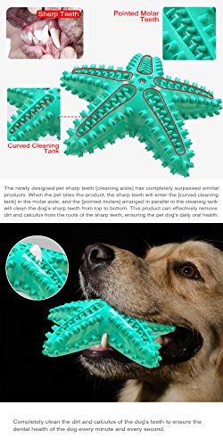 USWT Squeaky Dog Toy Durable Doggy Chew Toothbrush Puppy Float Toys Dogs Supplies Interactive Starfish Shaped Pet Molar New Materialâ¦