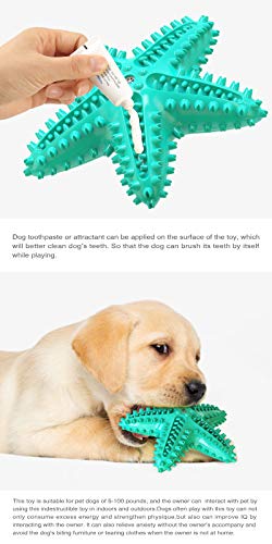 USWT Squeaky Dog Toy Durable Doggy Chew Toothbrush Puppy Float Toys Dogs Supplies Interactive Starfish Shaped Pet Molar New Materialâ¦