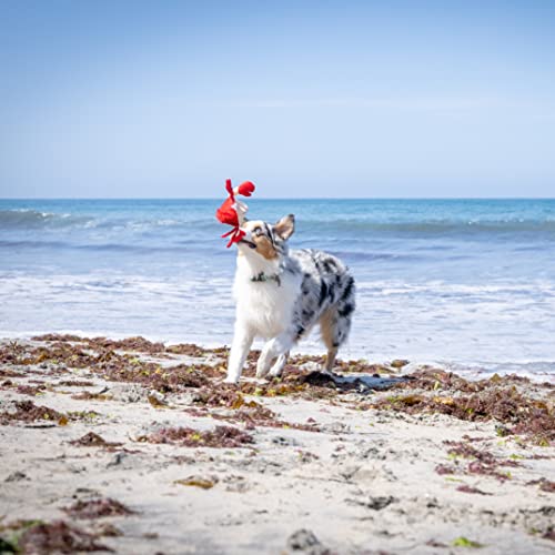 Hyper Pet Doggie Pal Crab Interactive Dog Toys (Unique Dog Toy that Wiggles, Vibrates and BarksâPlush Dog Toys for Boredom and Stimulating Play)