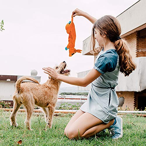 AWOOF No Stuffing Dog Toys, 5 Pack Dog Squeaky Toys Durable Dog Chew Toy Set for Puppy Small Medium Large Dog