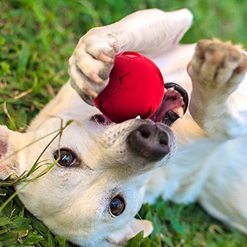 Nerf Dog Soccer Ball Dog Toys with Interactive Squeaker, Lightweight, Durable and Water Resistant, 4 Inches, For Medium/Large Breeds, Two Pack, Green and Red