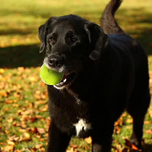 Nerf Dog Soccer Ball Dog Toys with Interactive Squeaker, Lightweight, Durable and Water Resistant, 4 Inches, For Medium/Large Breeds, Two Pack, Green and Red
