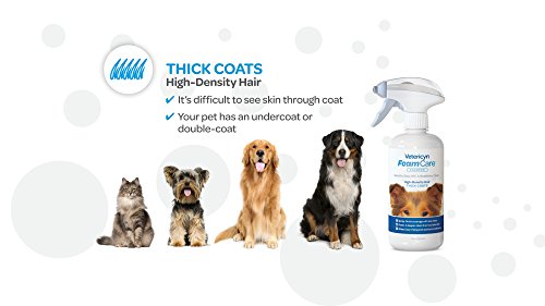 FoamCare Pet Shampoo for Thick Coats by Vetericyn | Promotes Healthy Skin and Coat - Hypoallergenic with Aloe - Cleans, Moisturizes, and Conditions â Instant Foam Shampoo â 16-ounce