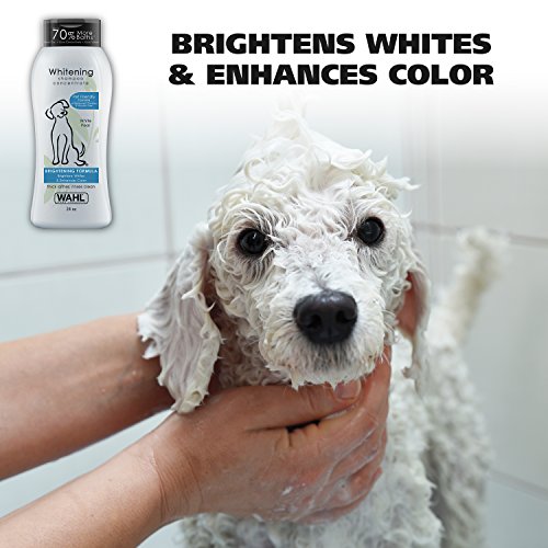 Wahl White Pear Brightening Shampoo for Pets â Whitening & Animal Odor Control with Silky Smooth Results for Grooming Dirty Dogs â 24 oz