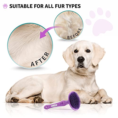 Round Bristle Pet Brush for Dogs and Cats - Gentle Grooming for Short or Long Hair - Soft Tool for Sensitive Skin Removes Dander, Dirt, and Detangles - Purple