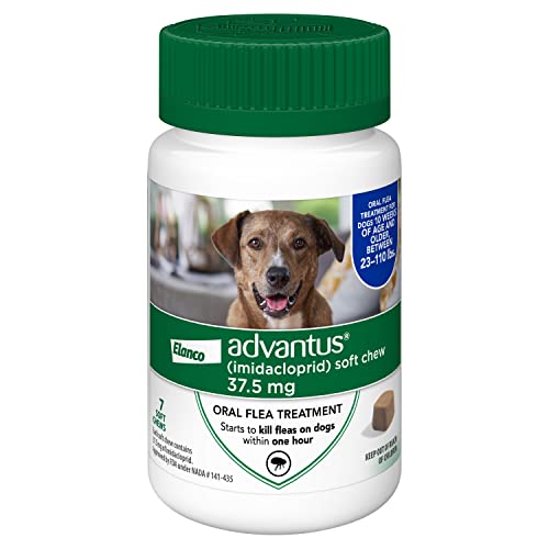 Advantus (Imidacloprid) Chewable Flea Treatment for Large Dogs, 23-110 Pounds